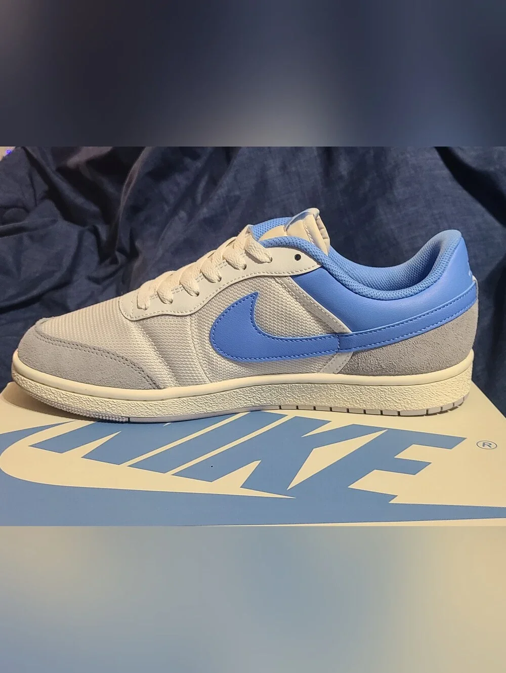 Jordan 1 Skyline Low 